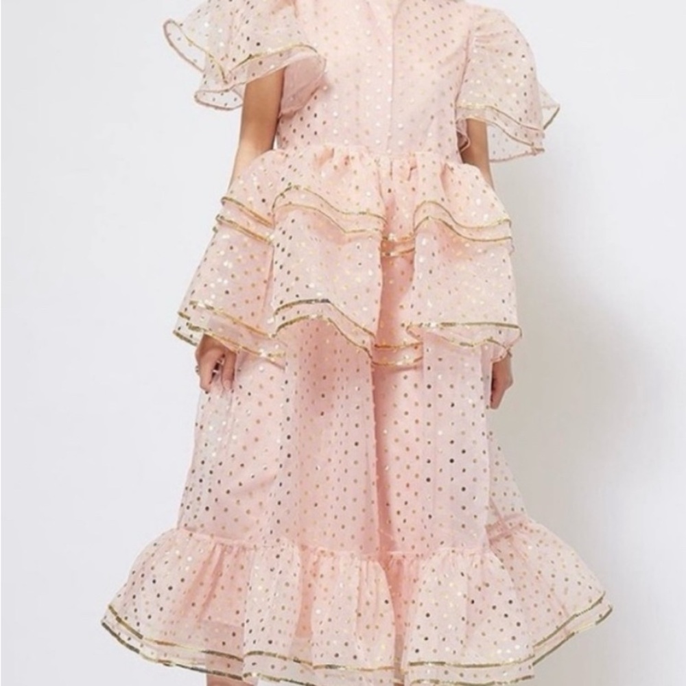 Fairy Godmother/ pink witch  Sister Jane Pink Organza  Dress L - Picture 5 of 7